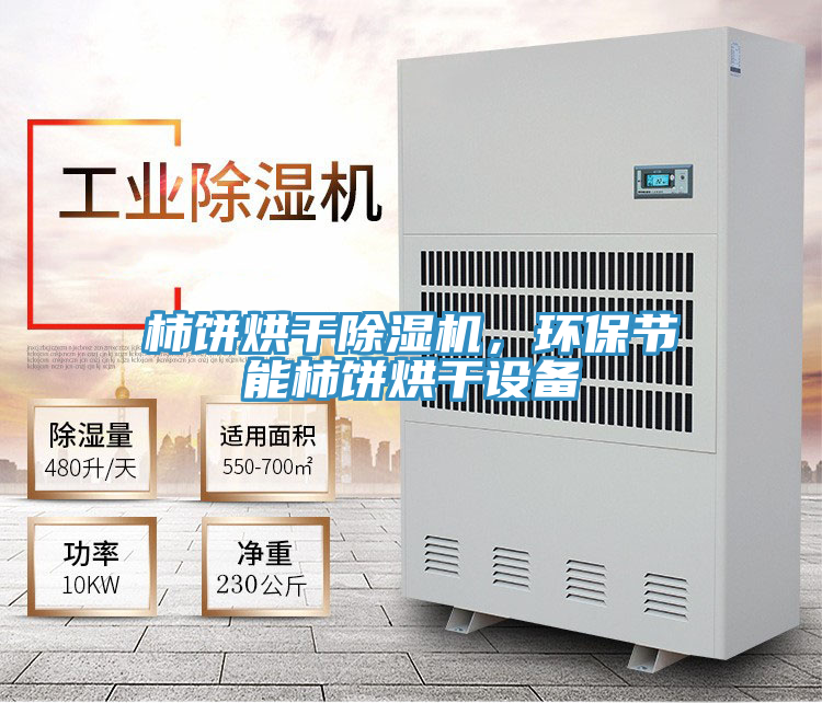 柿餅烘干除濕機，環保節能柿餅烘干設備