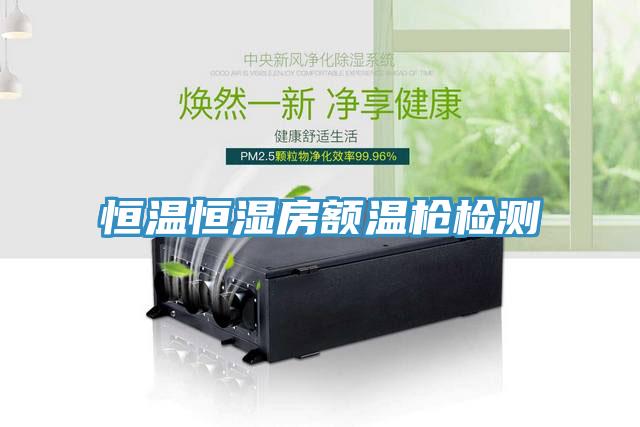 恒溫恒濕房額溫槍檢測