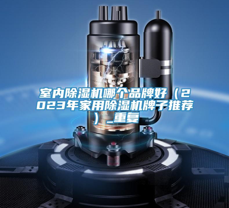 室內除濕機哪個品牌好（2023年家用除濕機牌子推薦）_重復