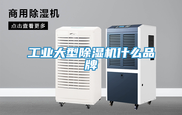 工業大型除濕機什么品牌