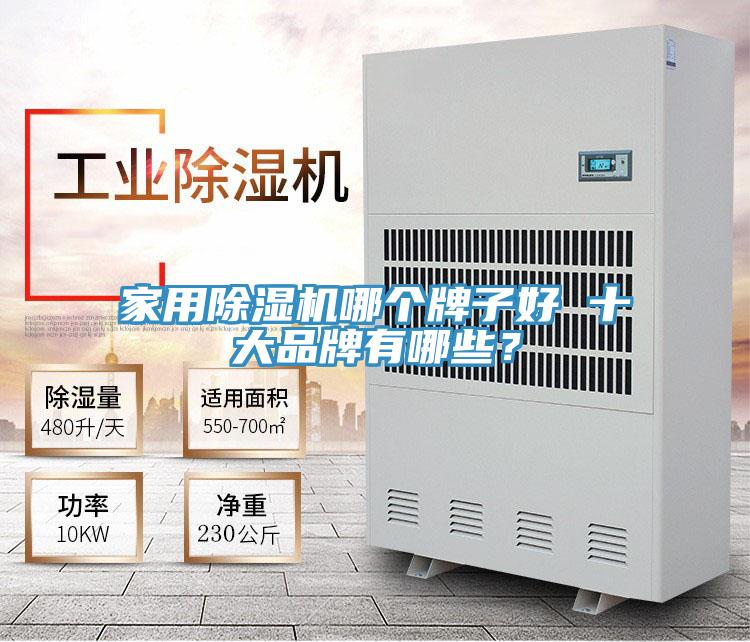 家用除濕機哪個牌子好 十大品牌有哪些？