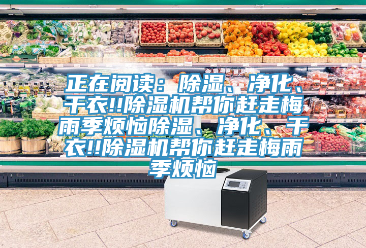 正在閱讀：除濕、凈化、干衣!!除濕機幫你趕走梅雨季煩惱除濕、凈化、干衣!!除濕機幫你趕走梅雨季煩惱