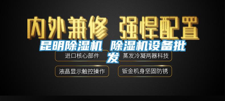 昆明除濕機 除濕機設備批發
