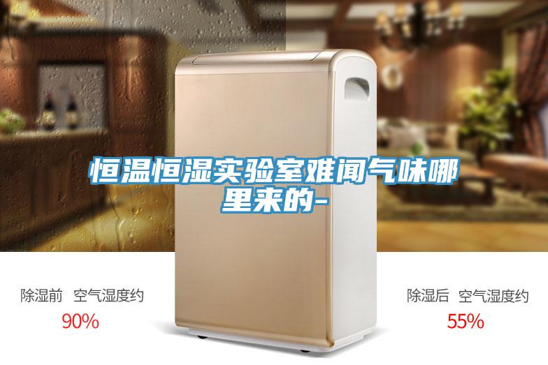 恒溫恒濕實驗室難聞氣味哪里來的-