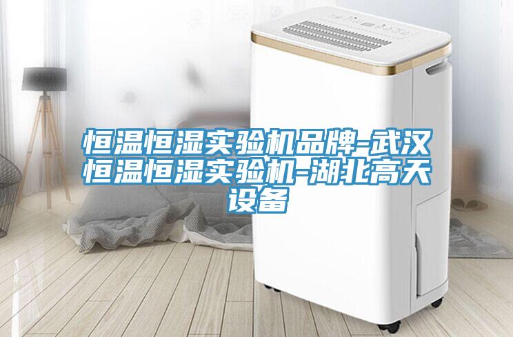 恒溫恒濕實驗機品牌-武漢恒溫恒濕實驗機-湖北高天設備