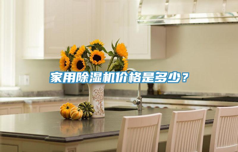家用除濕機價格是多少？