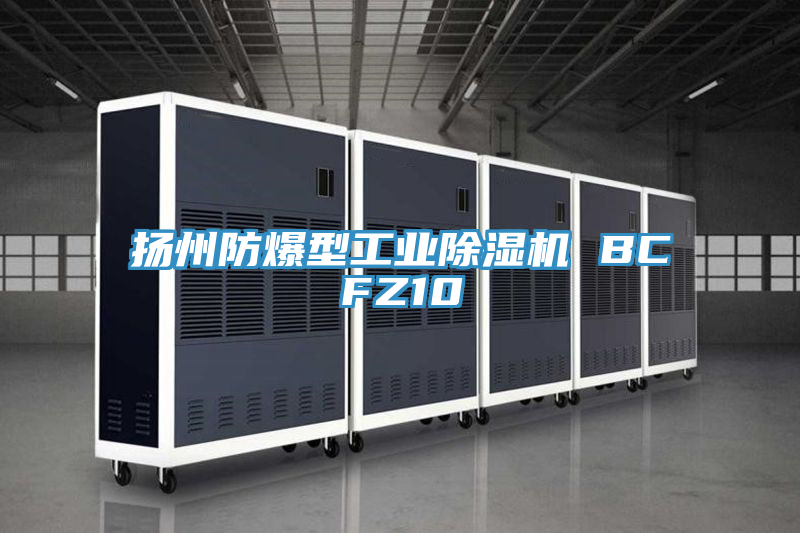 揚(yáng)州防爆型工業(yè)除濕機(jī) BCFZ10