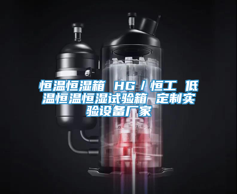 恒溫恒濕箱 HG／恒工 低溫恒溫恒濕試驗箱 定制實驗設備廠家