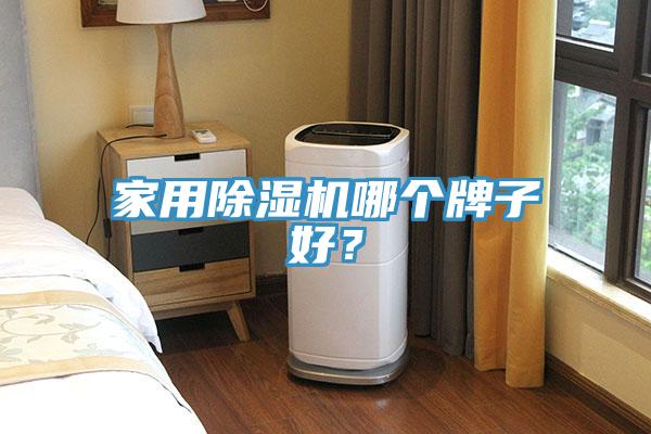 家用除濕機哪個牌子好?