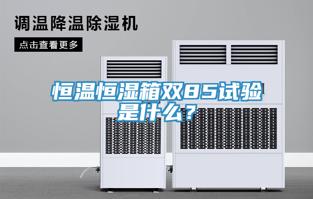 恒溫恒濕箱雙85試驗是什么？