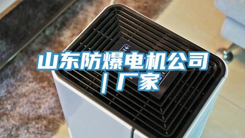 山東防爆電機(jī)公司|廠家