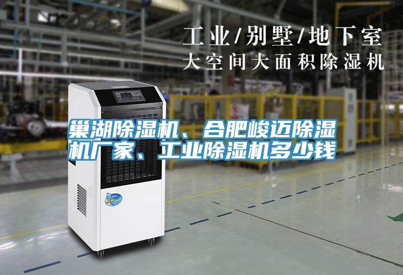 巢湖除濕機、合肥峻邁除濕機廠家、工業除濕機多少錢