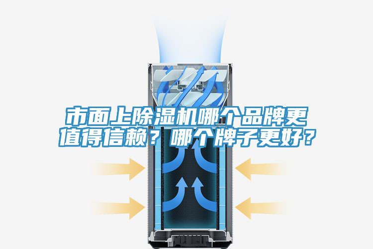 市面上除濕機哪個品牌更值得信賴？哪個牌子更好？