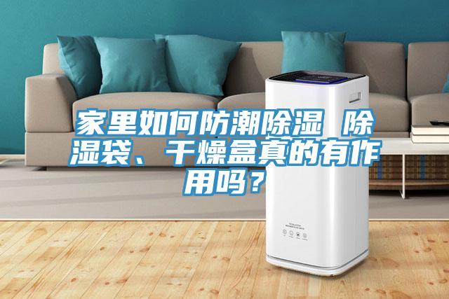 家里如何防潮除濕 除濕袋、干燥盒真的有作用嗎？