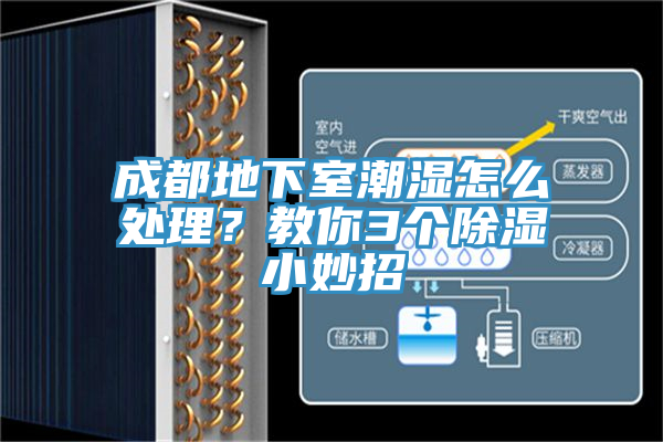 成都地下室潮濕怎么處理？教你3個(gè)除濕小妙招