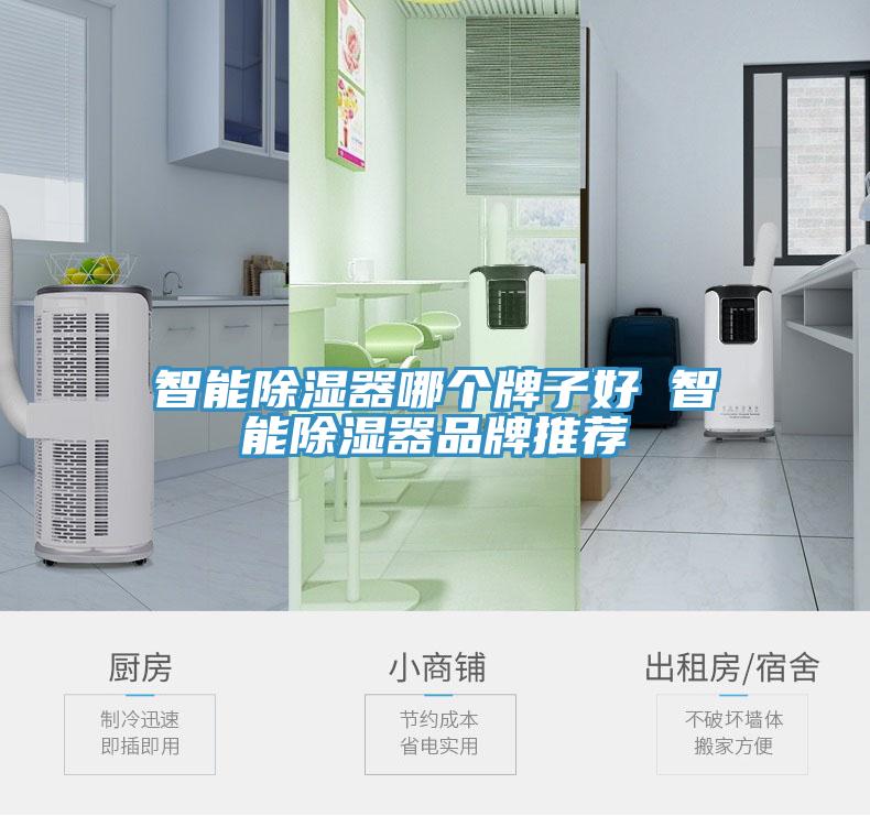 智能除濕器哪個牌子好 智能除濕器品牌推薦