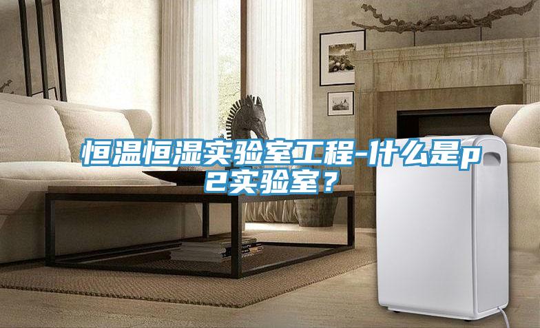 恒溫恒濕實(shí)驗(yàn)室工程-什么是p2實(shí)驗(yàn)室？