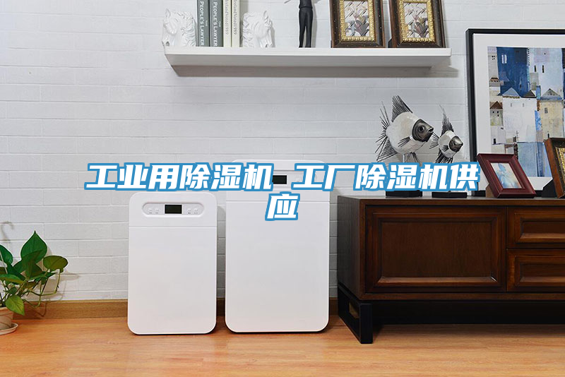 工業(yè)用除濕機(jī) 工廠除濕機(jī)供應(yīng)