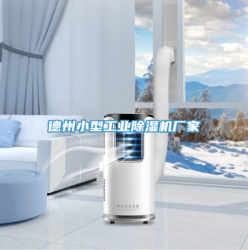 德州小型工業除濕機廠家
