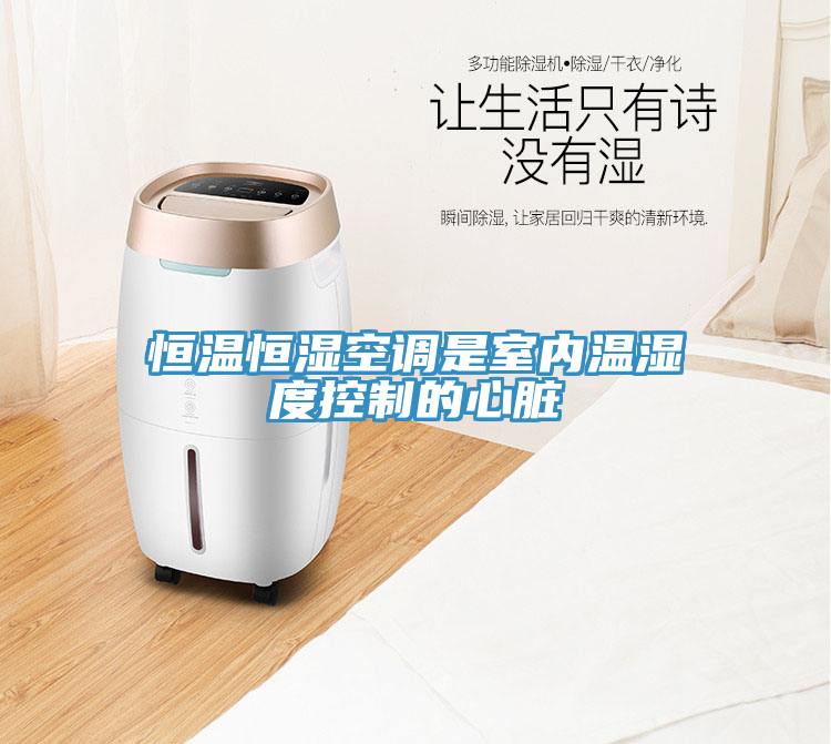 恒溫恒濕空調(diào)是室內(nèi)溫濕度控制的心臟