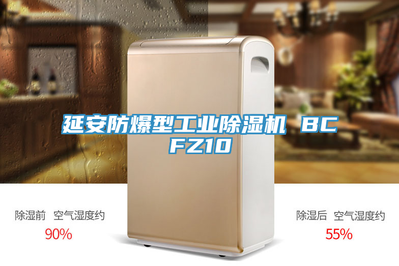 延安防爆型工業除濕機 BCFZ10