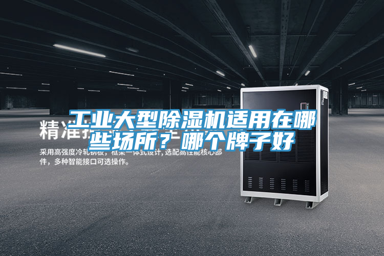 工業大型除濕機適用在哪些場所？哪個牌子好