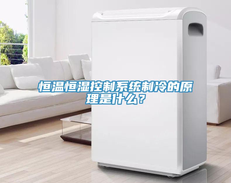 恒溫恒濕控制系統制冷的原理是什么？