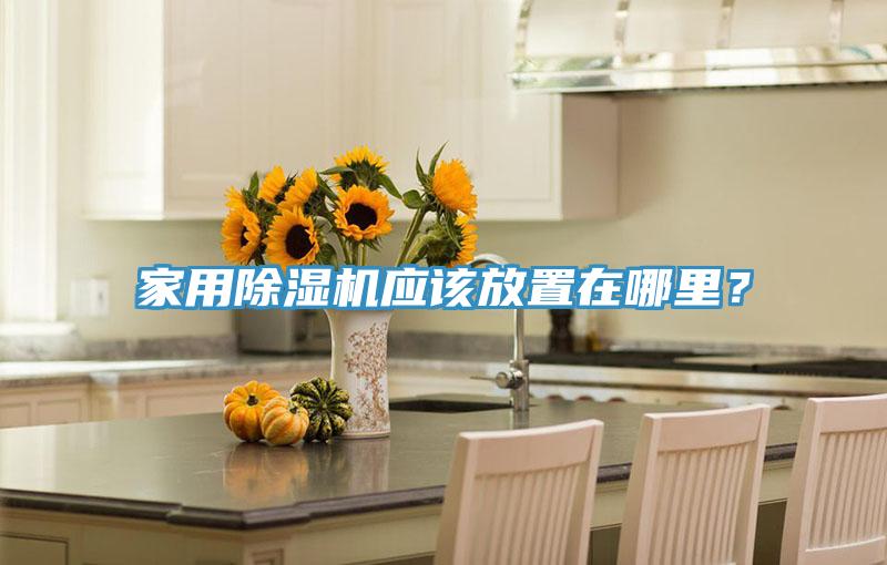 家用除濕機應該放置在哪里？