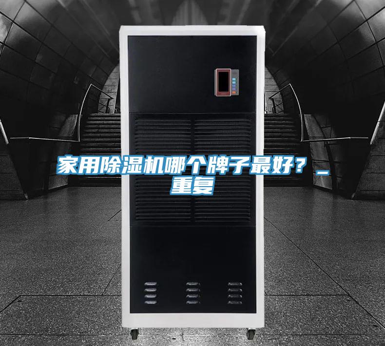 家用除濕機哪個牌子最好?_重復
