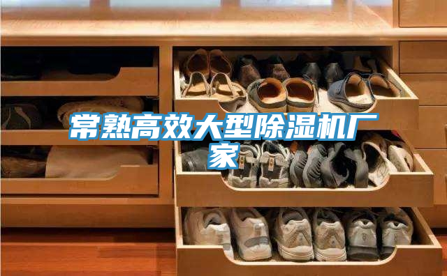 常熟高效大型除濕機廠家