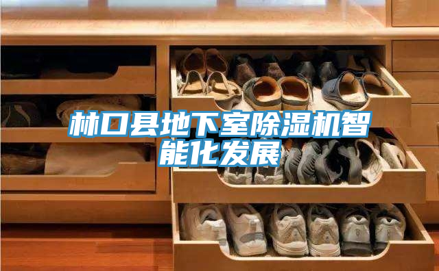 林口縣地下室除濕機智能化發展