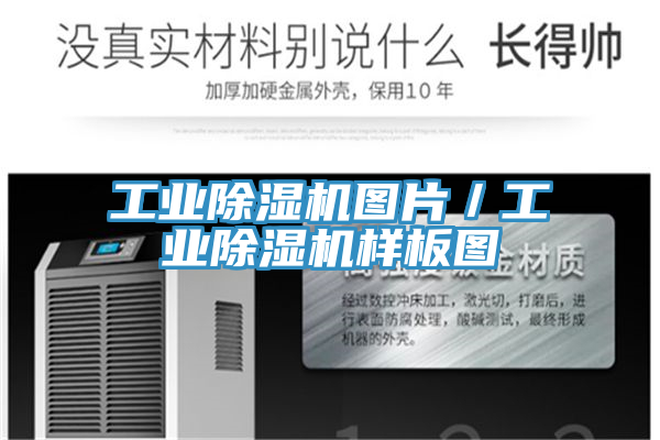工業除濕機圖片／工業除濕機樣板圖