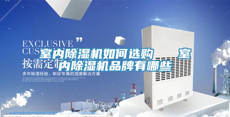 室內除濕機如何選購 室內除濕機品牌有哪些