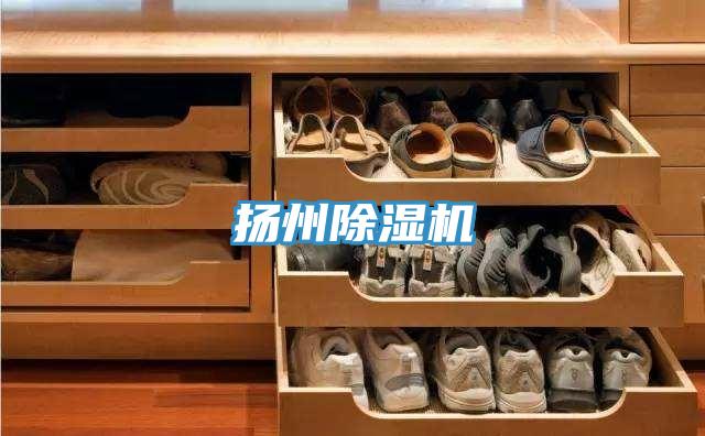 揚州除濕機