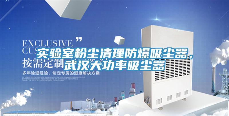 實驗室粉塵清理防爆吸塵器，武漢大功率吸塵器