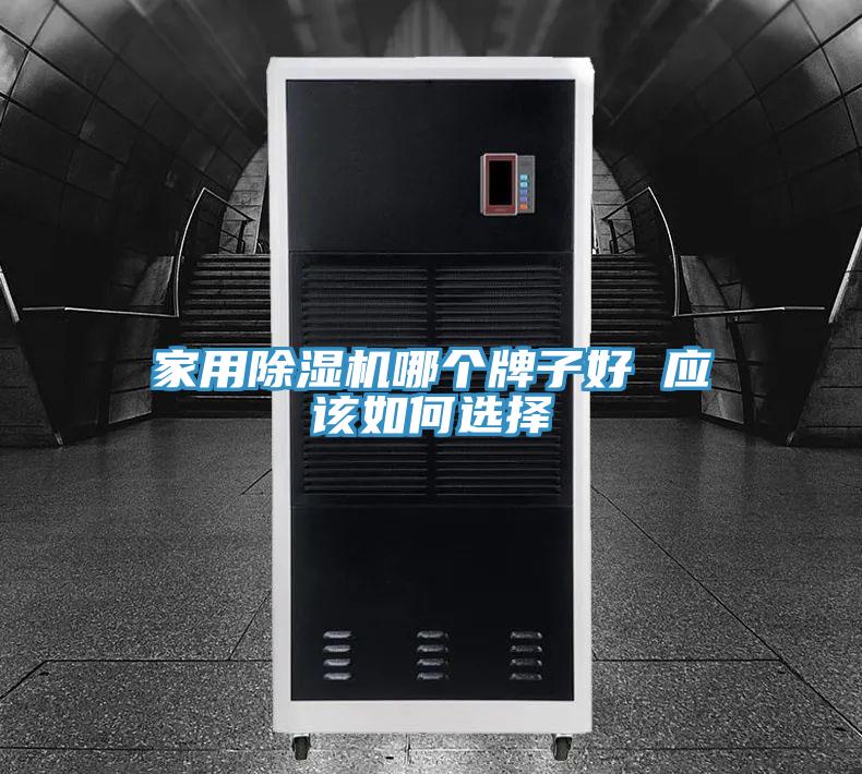 家用除濕機哪個牌子好 應(yīng)該如何選擇