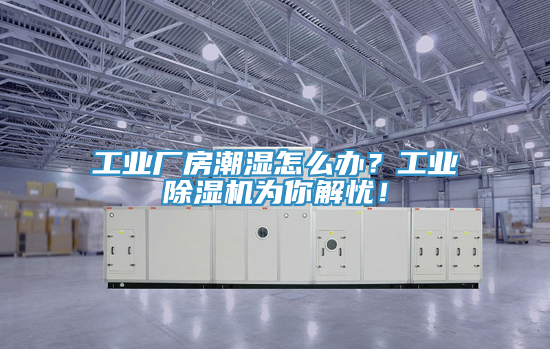 工業(yè)廠房潮濕怎么辦？工業(yè)除濕機為你解憂！