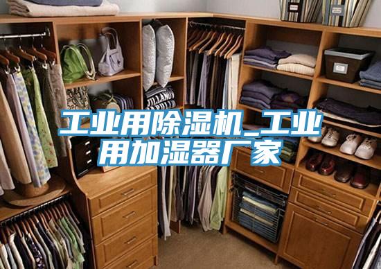 工業(yè)用除濕機_工業(yè)用加濕器廠家