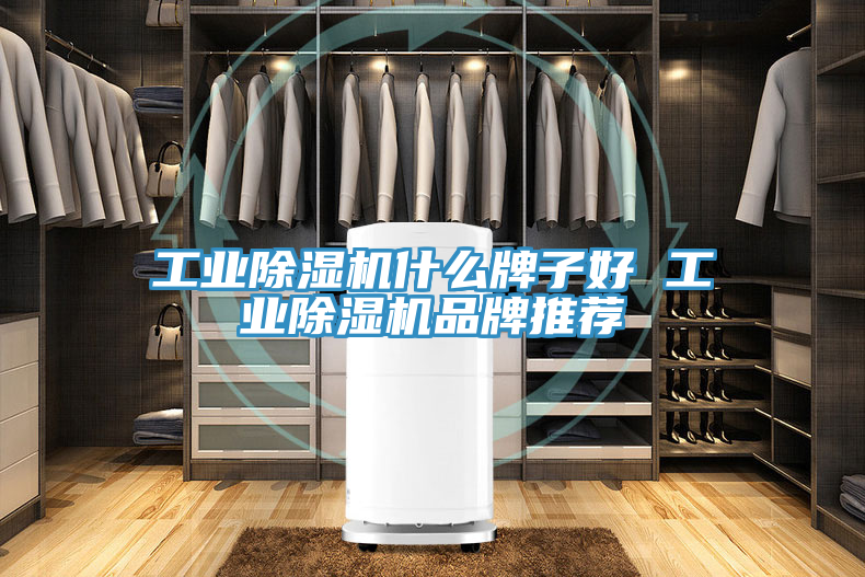 工業除濕機什么牌子好 工業除濕機品牌推薦