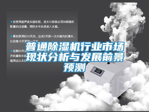 普通除濕機行業市場現狀分析與發展前景預測