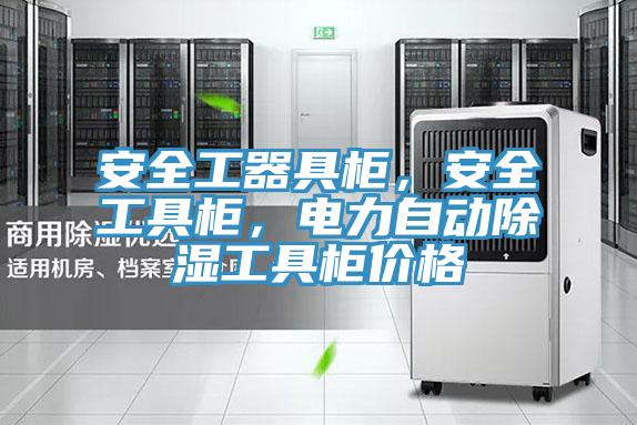 安全工器具柜，安全工具柜，電力自動(dòng)除濕工具柜價(jià)格