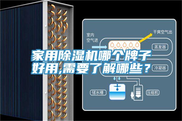 家用除濕機哪個牌子好用,需要了解哪些?