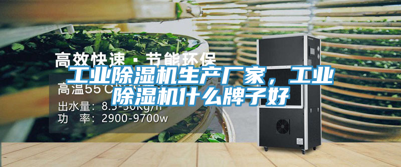 工業除濕機生產廠家，工業除濕機什么牌子好