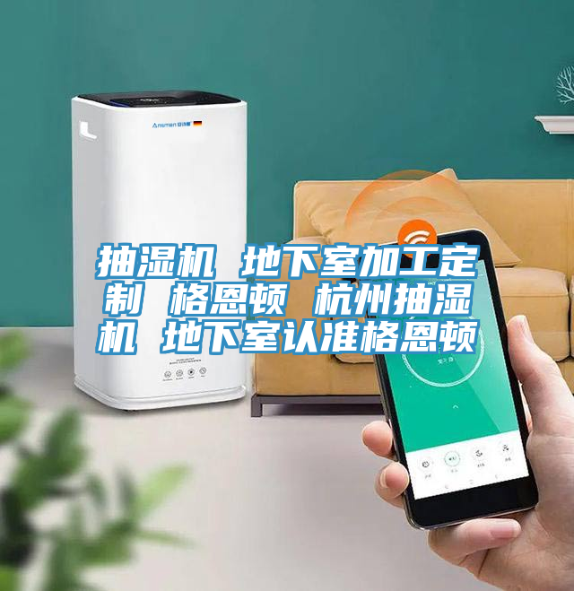 抽濕機 地下室加工定制 格恩頓 杭州抽濕機 地下室認準格恩頓