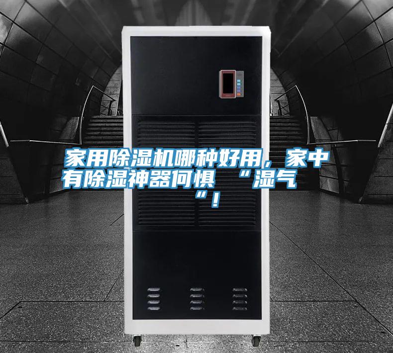 家用除濕機哪種好用，家中有除濕神器何懼 “濕氣 “！