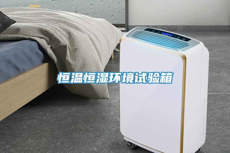 恒溫恒濕環(huán)境試驗(yàn)箱