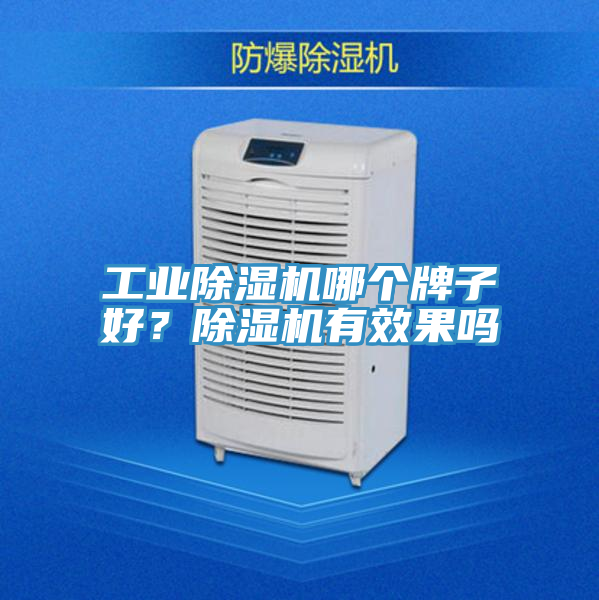 工業除濕機哪個牌子好？除濕機有效果嗎