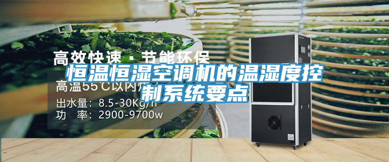 恒溫恒濕空調(diào)機(jī)的溫濕度控制系統(tǒng)要點