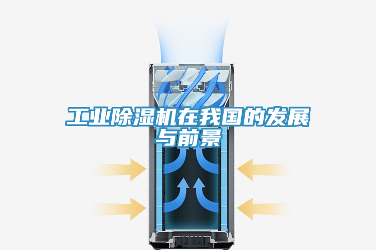 工業(yè)除濕機在我國的發(fā)展與前景