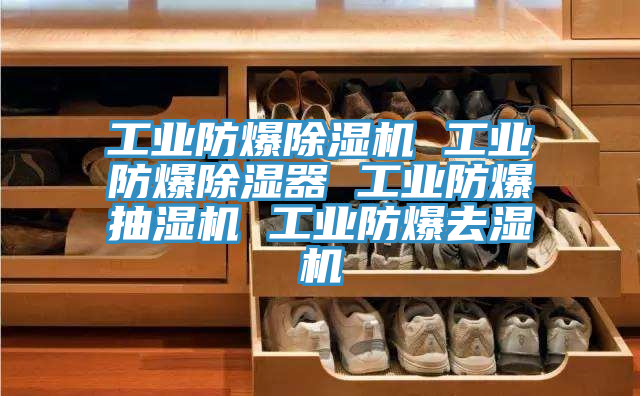 工業防爆除濕機 工業防爆除濕器 工業防爆抽濕機 工業防爆去濕機